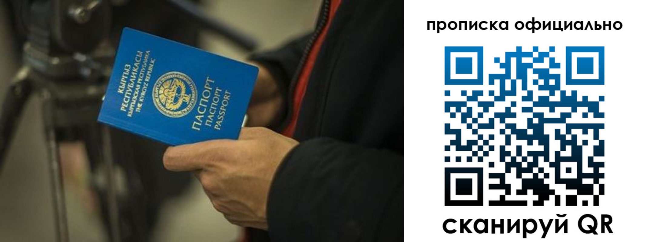 прописка в Кольчугино